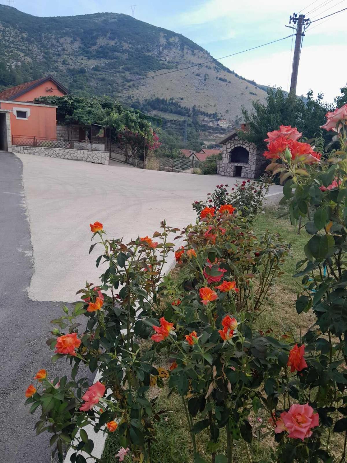 Apartman Vlacic Trebinje Exteriör bild